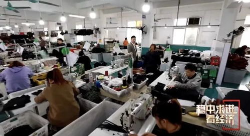 央媒關注 中國皮具之都 年產值300億,牛